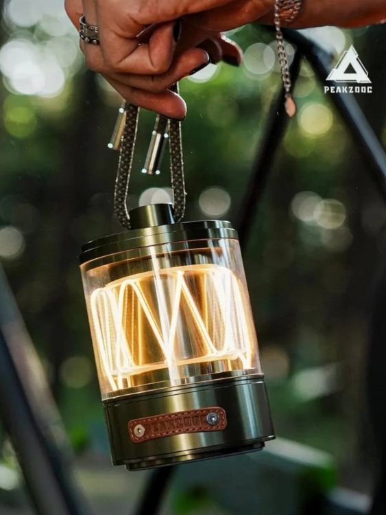 Колонка PEAKZOOC® Rhythm Light Speaker Темно-зеленая