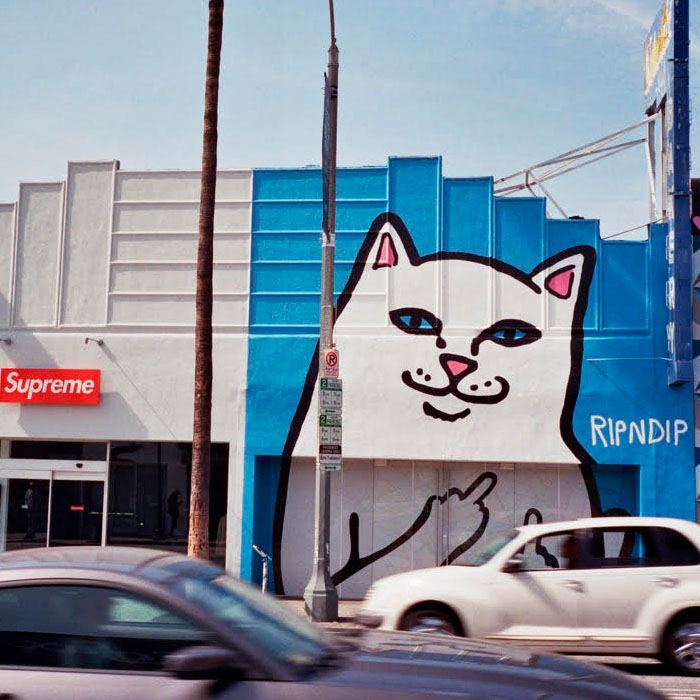 Значок кот Лорд Нермал из RIPNDIP на ветке