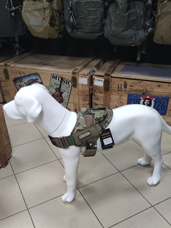 Тактическая шлейка для тренировки собак SPANKER® DG110 Coyote